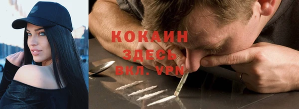 ECSTASY Белокуриха