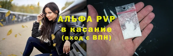 ECSTASY Белокуриха