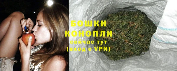 гидра Белоозёрский