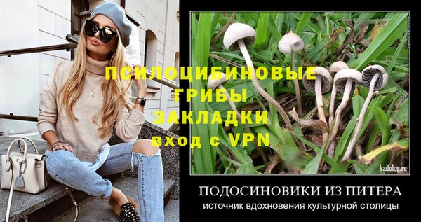 ECSTASY Белокуриха