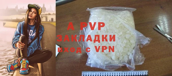 ECSTASY Белокуриха