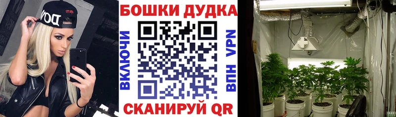 KRAKEN ССЫЛКА  Сковородино  Каннабис марихуана 